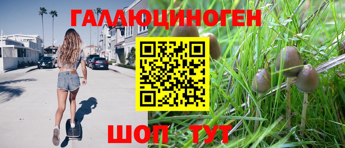 Галлюциногенные грибы Psilocybe  Вход с VPN  Тимашёвск  Псилоцибиновые грибы Psilocybine cubensis 